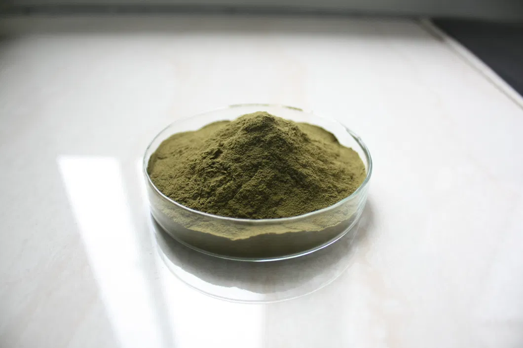 100% Natural Extract Animal Feed Polyphenols 4% / 4% Chicoric Acid Echinacea Purpurea Extract